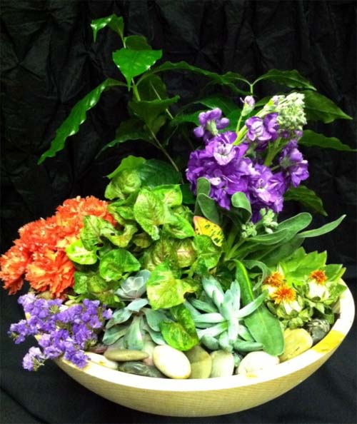 Succulents in a wooden bowl with river rocks complemented with small bundles of bright flowers. This has purple stock and orange carnations (The succulents will live "forever" you can simply replace the flowers for a fresh new look...carnations can last up to 2 weeks)